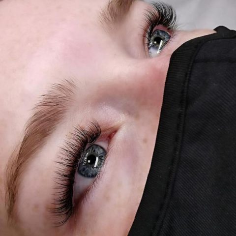 lash-2
