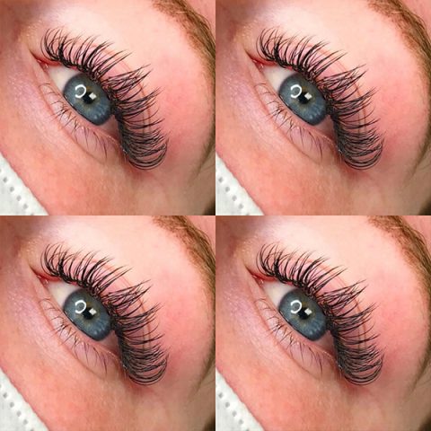 lash-3